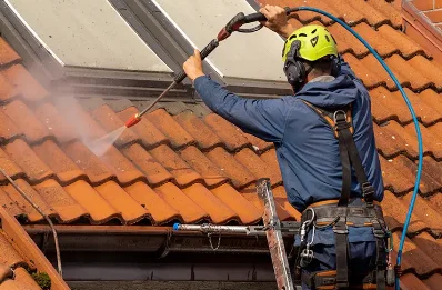 Démoussage et hydrofuge de toiture à Mondoubleau